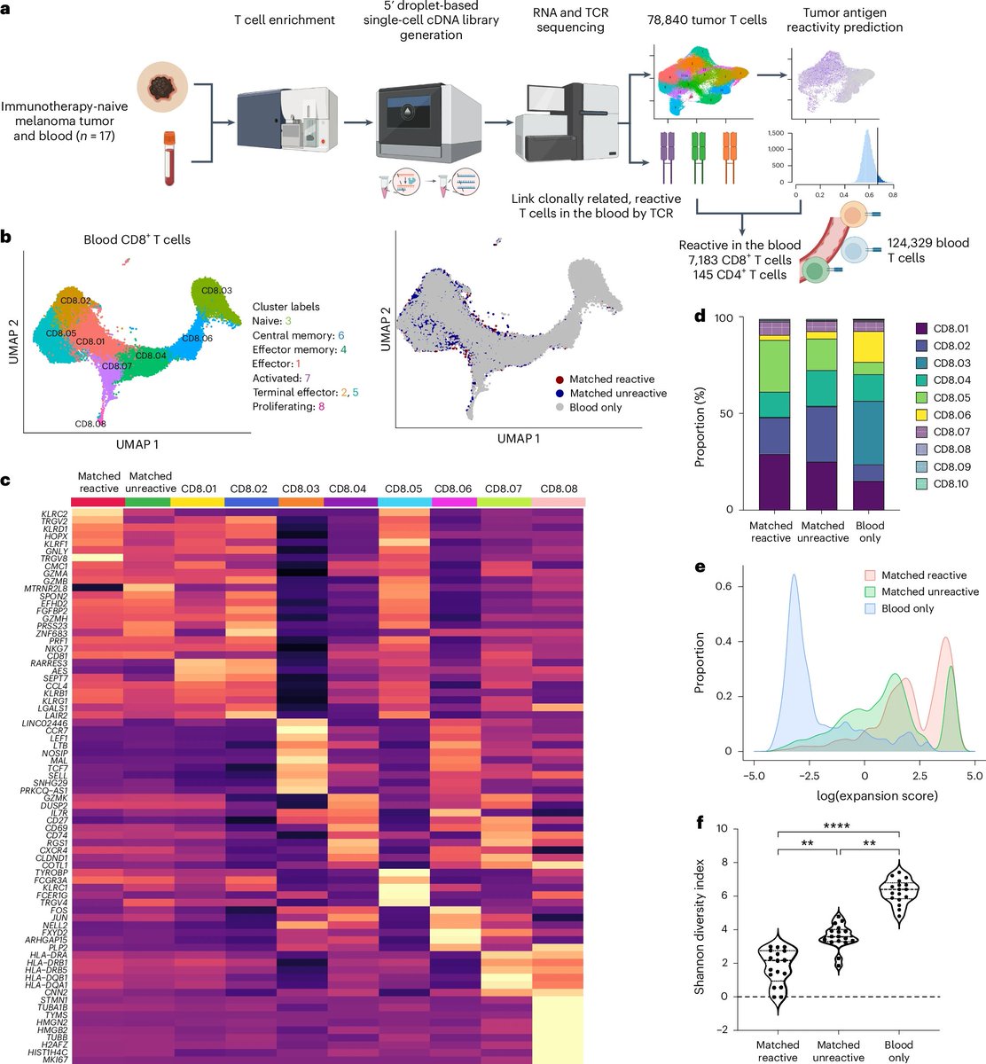 Waggoner Lab (@labwaggoner) on Twitter photo Circulating tumor-reactive KIR+CD8+ T cells suppress anti-tumor immunity in patients with melanoma
nature.com/articles/s4159…
<a href="/DavidHaflerMD/">David Hafler</a> <a href="/NatImmunol/">Nature Immunology</a> @Benjamin_Y_Lu Circulating tumor-reactive KIR+CD8+ T cells suppress anti-tumor immunity in patients with melanoma
nature.com/articles/s4159…
<a href="/DavidHaflerMD/">David Hafler</a> <a href="/NatImmunol/">Nature Immunology</a> @Benjamin_Y_Lu