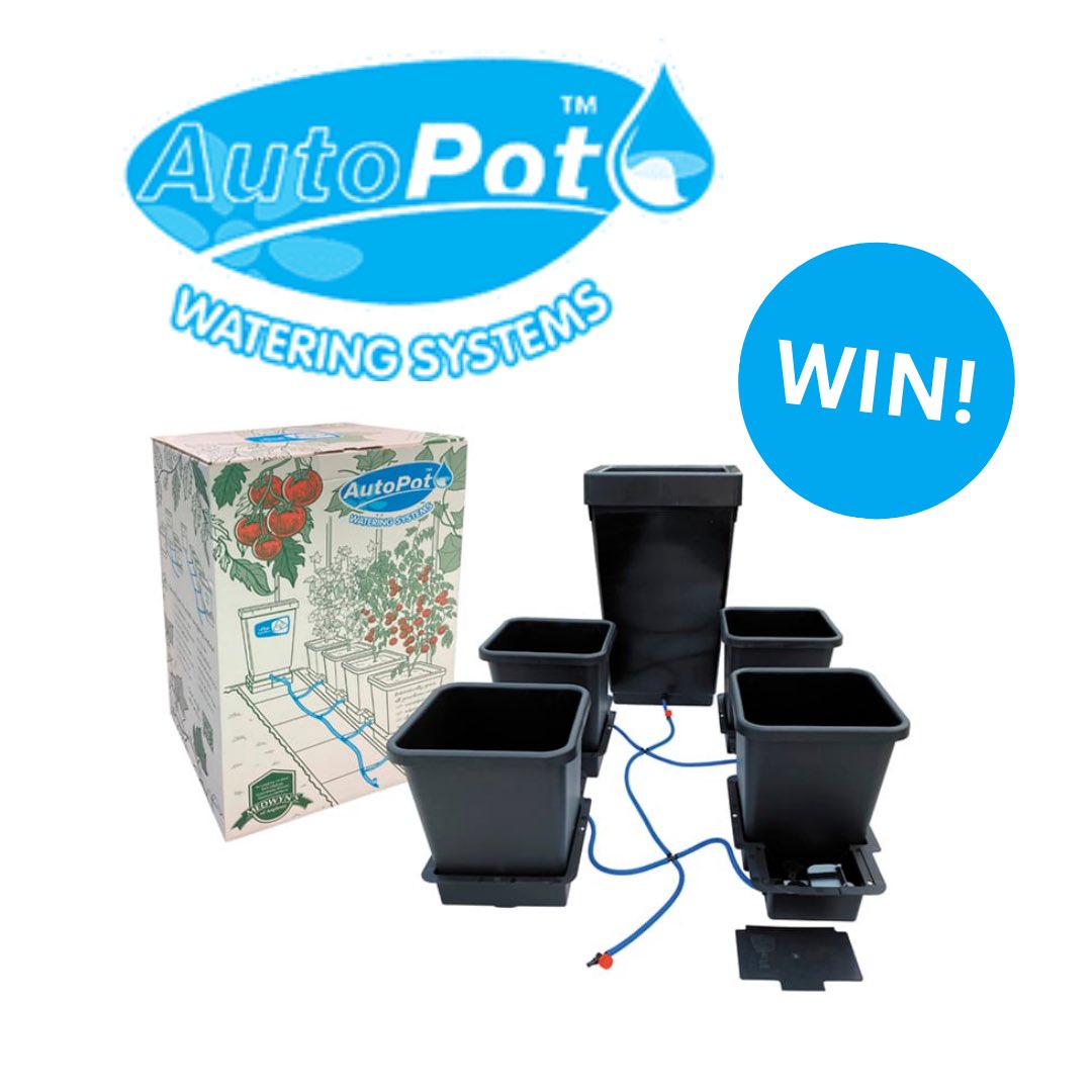 allotmentonline's tweet photo. 💦NEW COMPETITION!💦

Enter for the chance to WIN a 4Pot Watering System from AutoPot!

Please follow, ❤️, tag, RT and enter on the link:

https://t.co/QcogLaBH55

#win #competition #gardenuk #allotment https://t.co/aLpDW3ZiJm