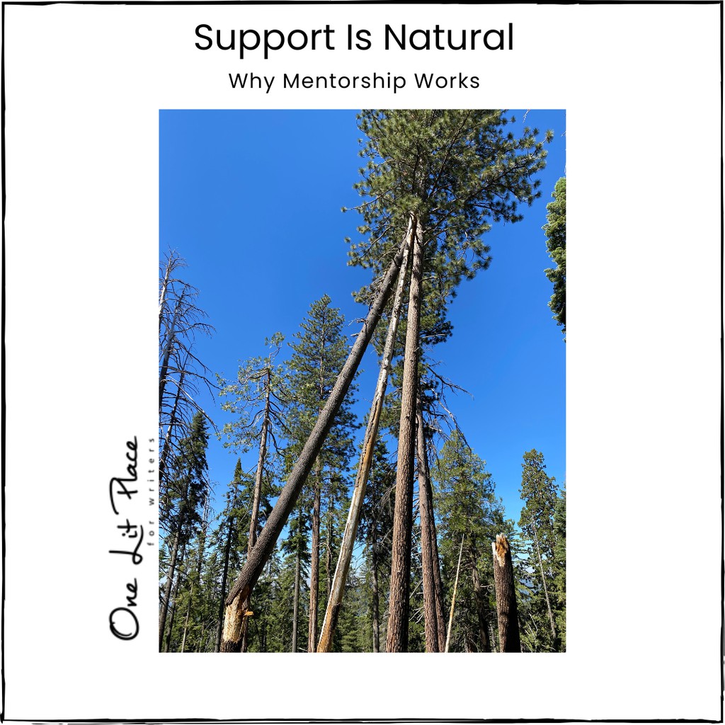 OneLitPlace's tweet image. "You may have a wonderful spouse or a generous loving family, but nothing is better than a writing mentor who knows exactly what you're going through." Want to know why? Click the link to read the full article: lttr.ai/AY0gD

#writingsupport #amwriting #writingmentor