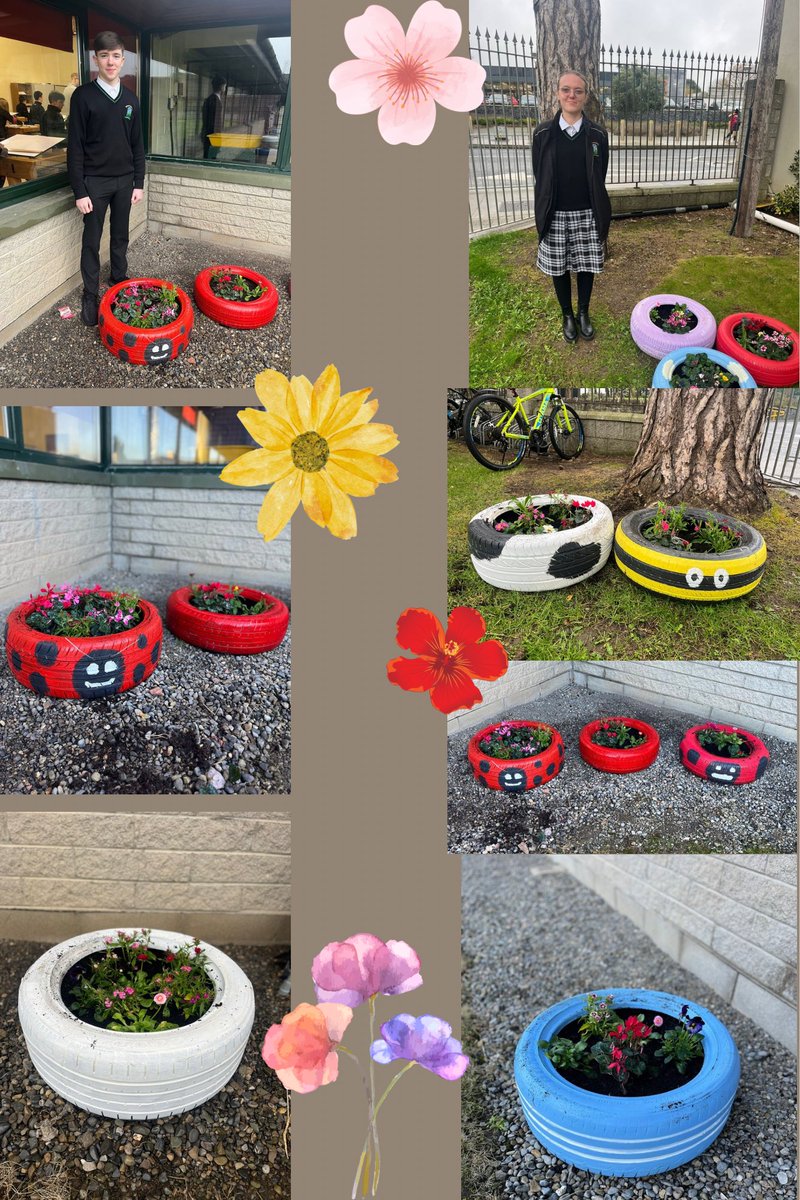 Well done to Ms Behan and the LCA 6 on their finished project. All their hard work has paid off and they’ve brought a fabulous pop of colour to our school garden 🌼💐🤩👏