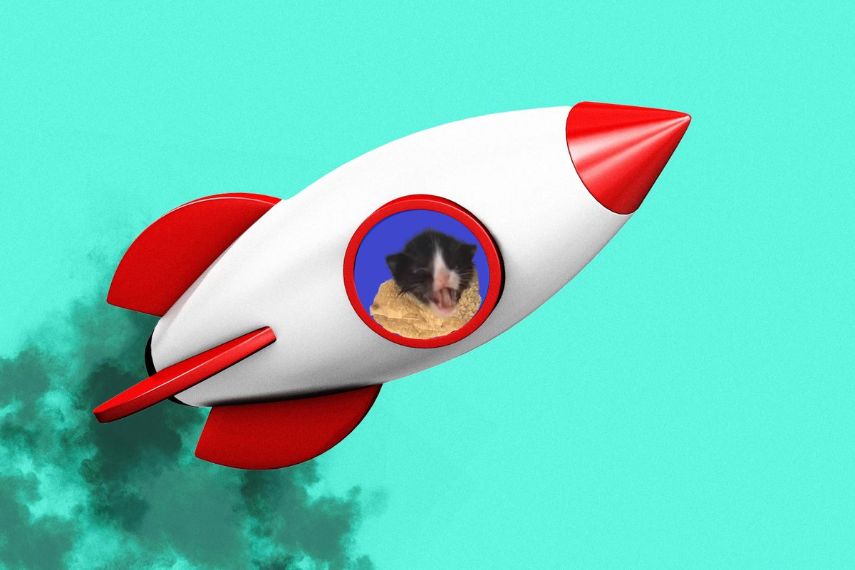 honk_cat's tweet photo. @MonstersCoins https://t.co/JGeZ4A1QnL

https://t.co/Bvn7oLJuEI https://t.co/Y98cS4MIBq