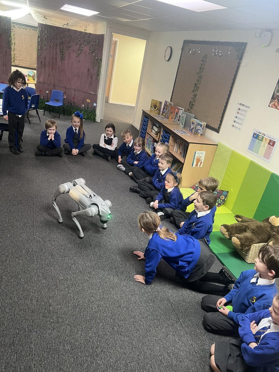 Shoreside Year 2 tweet media