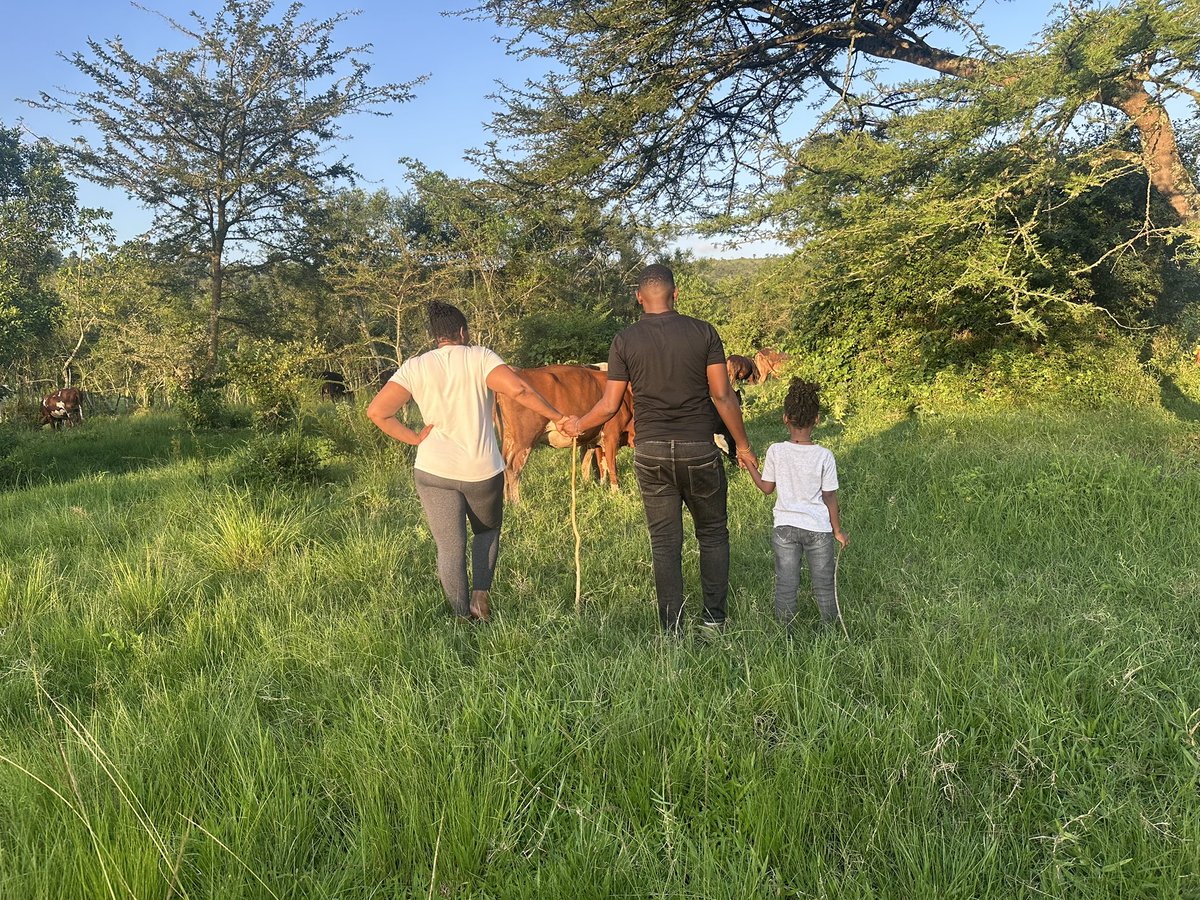 We were Raised By Cows