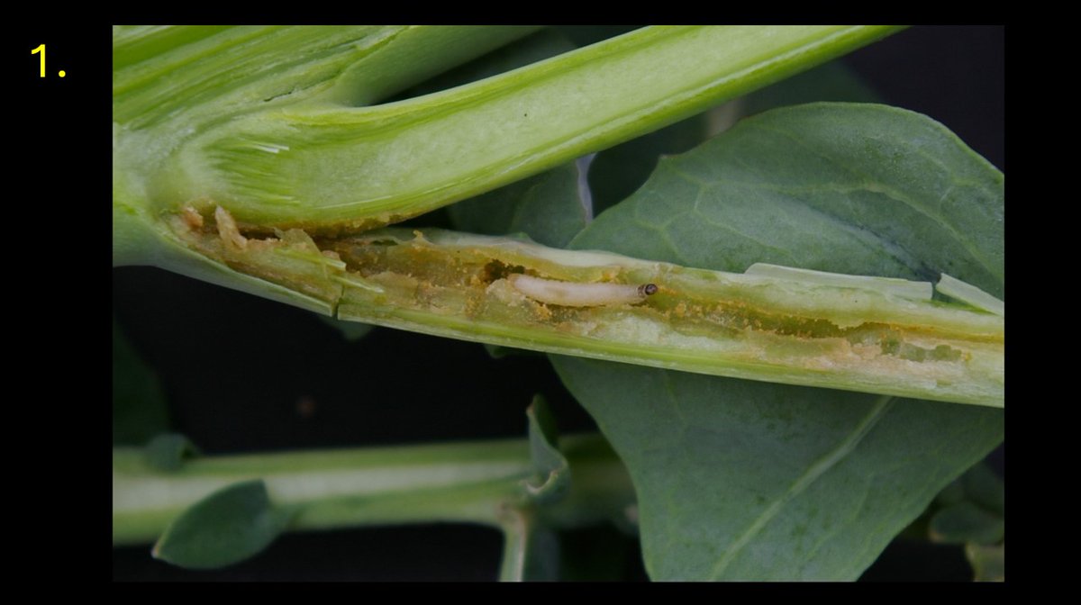 Simon Goodger tweet media