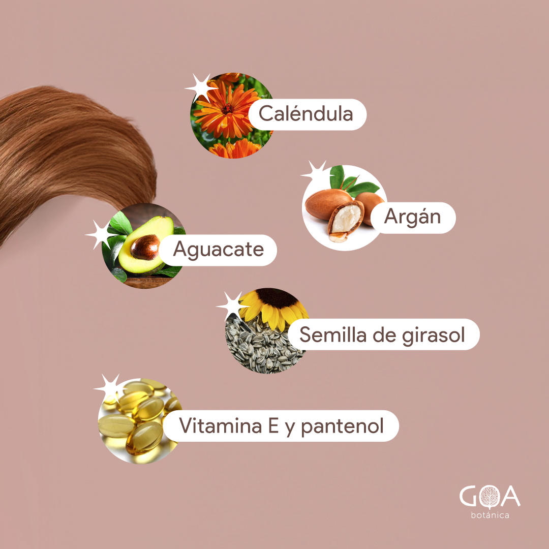 GoaBotanica's tweet photo. Argán, aguacate y semillas de girasol fermentada son solo algunos de los ingredientes más importantes de nuestro shampoo para cabello normal y seco.

✨ Compra en nuestra web https://t.co/CW8rxPG8R4 y obtén envío gratis por la compra de 2 o más productos. Aplican restricciones. https://t.co/KROQTFIaGA