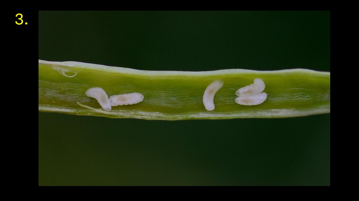 Simon Goodger tweet media