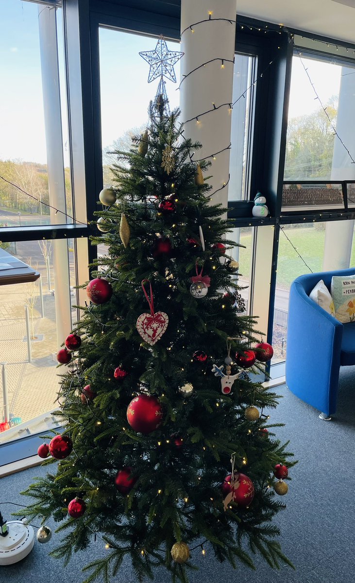 Headteacher@BassalegSchool (@headteacherbas1) on Twitter photo Christmas has arrived <a href="/BassalegSchool1/">Bassaleg School</a> 🎄 Thanks to all of our fabulous young people and staff contributing to making the site lovely & festive for us all to enjoy #believingandbelonging Christmas has arrived <a href="/BassalegSchool1/">Bassaleg School</a> 🎄 Thanks to all of our fabulous young people and staff contributing to making the site lovely & festive for us all to enjoy #believingandbelonging