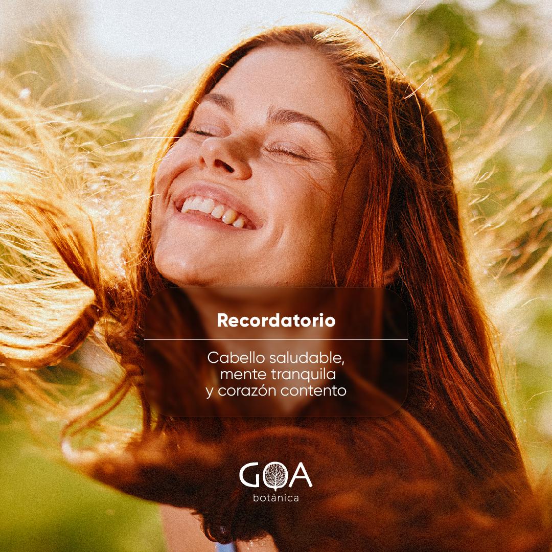 GoaBotanica's tweet photo. Recordatorio especial, protege tu cabello con los mejores productos😍✨

📦 Compra en nuestra web https://t.co/CW8rxPGGGC y recibe envío gratis por la compra de 2 o más productos. Aplican restricciones.
#GoaBotánica #Shampoo #CabelloSano #CabelloSeco #CabelloLargo #CabelloCorto https://t.co/maYmhPy55i