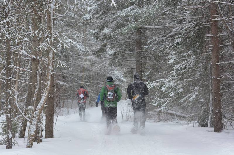 OrienteeringOntario tweet media