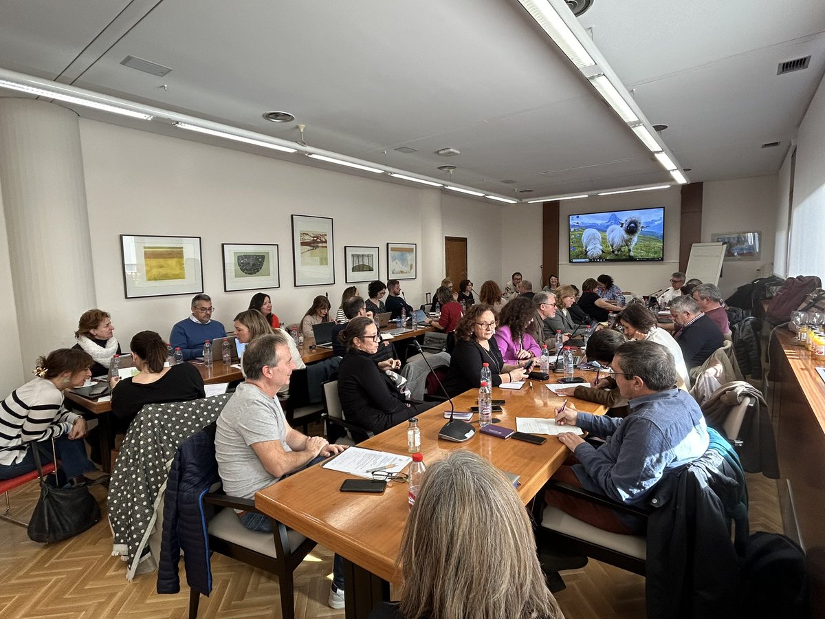 🟠 Hoy hemos celebrado la asamblea general con la participación de todas las facultades y departamentos que imparten el Grado en Trabajo Social en universidades españolas. 

💪🏽 ¡Seguimos trabajando por el desarrollo y el crecimiento disciplinar del Trabajo Social!