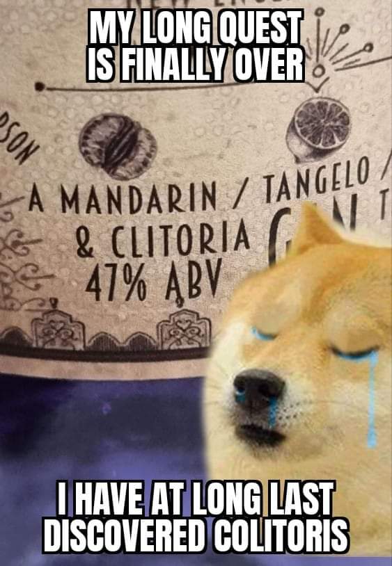 Evil Doge (@evilsatandoggo) on Twitter photo 