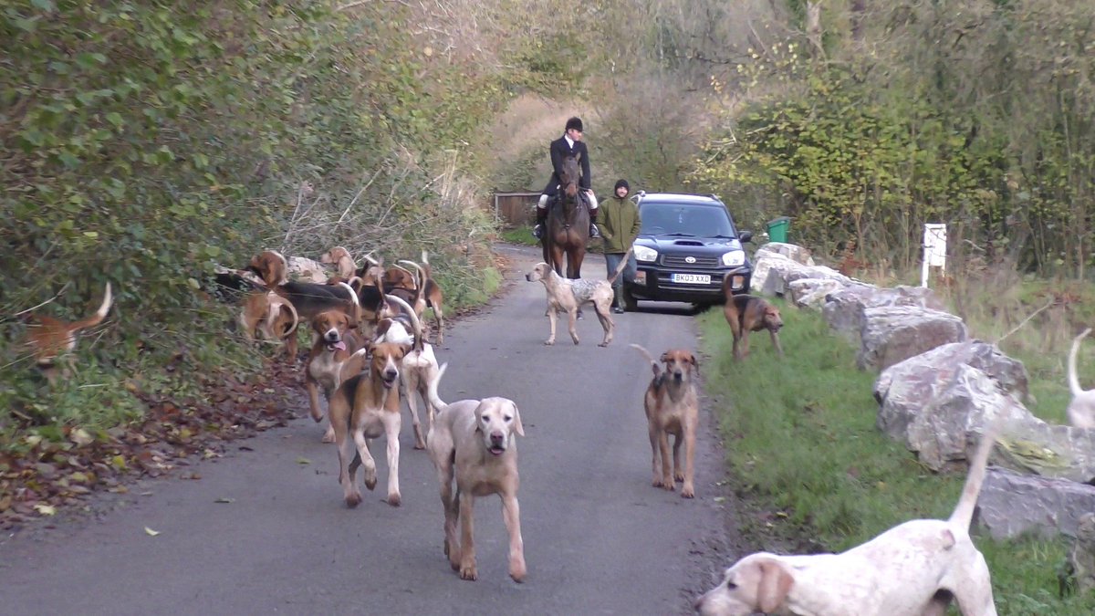 A hunt saboteur was BRUTALLY attacked by Mendip Farmers Hunt thugs while stopping illegal fox hunting. Concussed, her cameras stolen, and POLICE DID NOTHING despite knowing where the attackers were. This violence must END. Where’s justice?!
