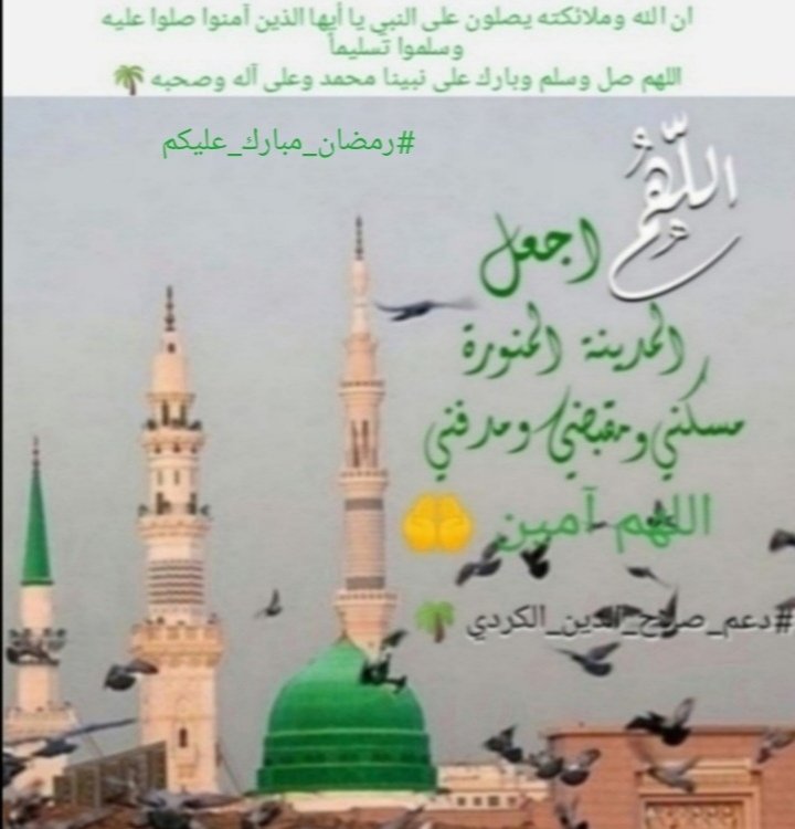 #دعم_صلاح_الدين_الكردي🌴#طيارة_المليون_العالمي🌎🟡 (@alkurdislahald2) on Twitter photo #صلوا_على_الحبيب_محمد_ﷺ💚
#دعم_صلاح_الدين_الكردي🌴
<a href="/alkurdislahald2/">#دعم_صلاح_الدين_الكردي🌴#طيارة_المليون_العالمي🌎🟡</a>
<a href="/alkurdislahaldi/">صلاح الدين الكردي</a>
<a href="/rah_fl1f/">رهف</a>
<a href="/Elle_sbl/">𓂆 سمــا🇵🇸 (قَ 🔻 قــاوم)</a>
<a href="/alkhirrat2/">alkhirrat2</a>
<a href="/DrRabi317/">Dr A7med Rabi3🥀 ❤️</a>
<a href="/2001Fffzzz/">ظل الشمس 🎼</a>
<a href="/lfryd163806/">الفريد</a>
<a href="/mlyky68686/">ساره ال مليكي</a>
<a href="/abwmnaaaly/">ابو محمد</a>
<a href="/bdllh225499/">عبدالله</a>
<a href="/osama168633/">زهور 🖋</a>
@alkurdinjmaldin
@H5389448457128
<a href="/CuUwPkAXRAPzl9I/">حميدالجهني</a>
لاتنسونا من رتويت🔄للنشر🌴 #صلوا_على_الحبيب_محمد_ﷺ💚
#دعم_صلاح_الدين_الكردي🌴
<a href="/alkurdislahald2/">#دعم_صلاح_الدين_الكردي🌴#طيارة_المليون_العالمي🌎🟡</a>
<a href="/alkurdislahaldi/">صلاح الدين الكردي</a>
<a href="/rah_fl1f/">رهف</a>
<a href="/Elle_sbl/">𓂆 سمــا🇵🇸 (قَ 🔻 قــاوم)</a>
<a href="/alkhirrat2/">alkhirrat2</a>
<a href="/DrRabi317/">Dr A7med Rabi3🥀 ❤️</a>
<a href="/2001Fffzzz/">ظل الشمس 🎼</a>
<a href="/lfryd163806/">الفريد</a>
<a href="/mlyky68686/">ساره ال مليكي</a>
<a href="/abwmnaaaly/">ابو محمد</a>
<a href="/bdllh225499/">عبدالله</a>
<a href="/osama168633/">زهور 🖋</a>
@alkurdinjmaldin
@H5389448457128
<a href="/CuUwPkAXRAPzl9I/">حميدالجهني</a>
لاتنسونا من رتويت🔄للنشر🌴