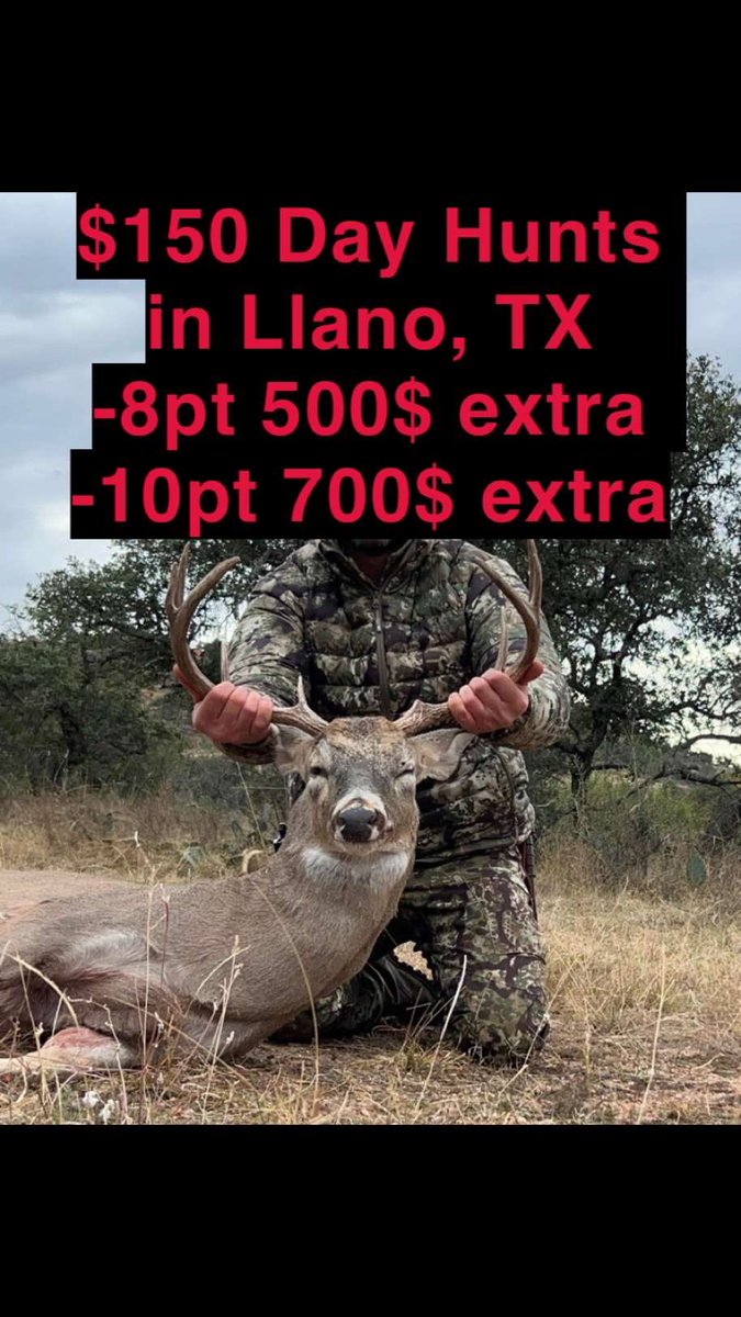 dustinsprojects's tweet image. Llano, TX free range hunts in the heart of the Texas Hill country! Contact me for details at 512-497-7674. Many native and exotic species available. The initial cost is $150 per day per person with overnight camping opportunities and some great times!  #texashunting #deerhunting