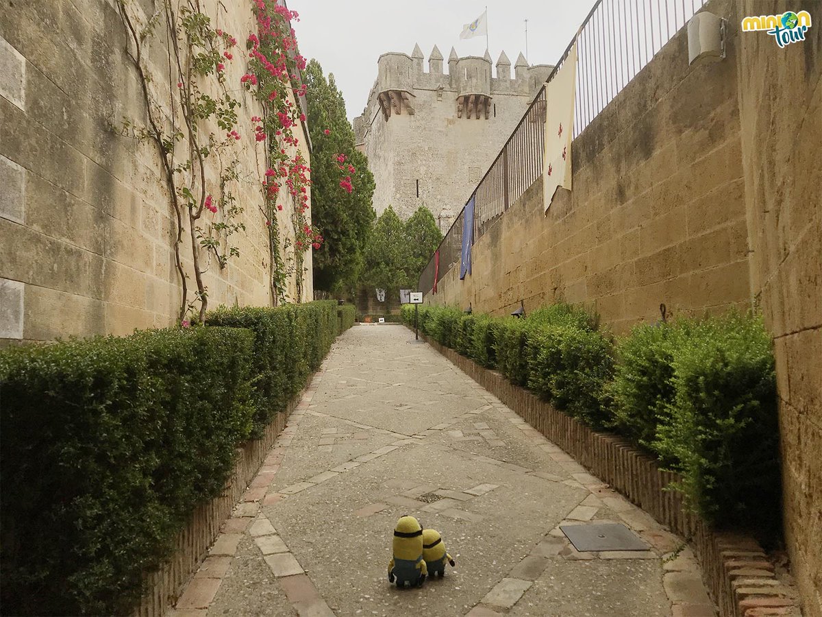 MiniOnTour tweet media