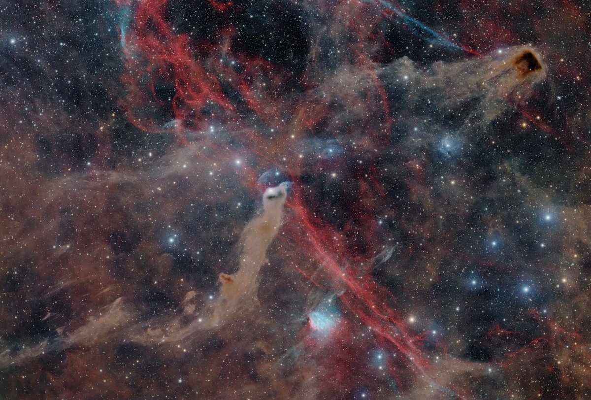 NebulaPhotos tweet media