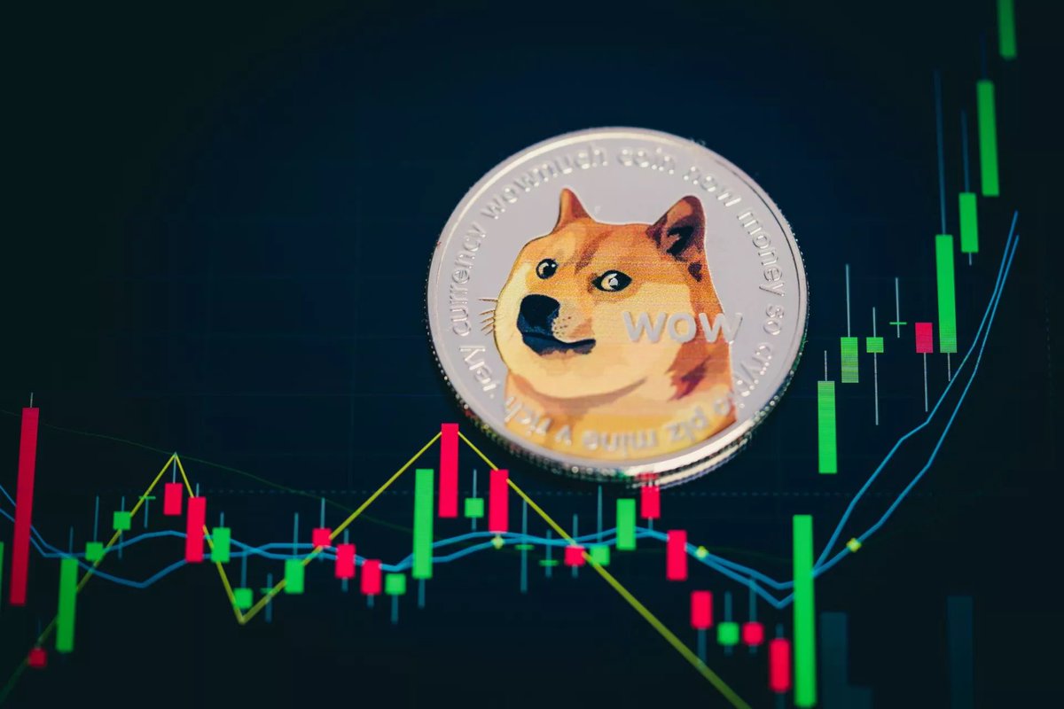 Dogecoin Rise 🌎🚀🌕 tweet media