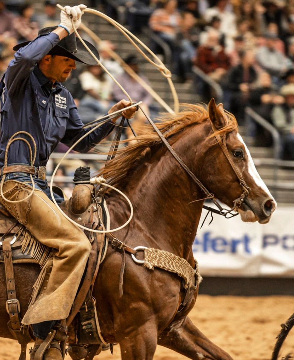 WnfrLivetv's tweet photo. Where and How to Watch NFR Live Stream 2024 Online from Las Vegas
#NFR #NFR2024 #NFRLasVegas #WeAreProRodeo #WranglerNFR
#NFR2024News #prorodeo #rodeo #prca #prcaprorodeo #LasVegasNFR
#TGINFR #nfrfashion
#RodeoTime #pbr
#WranglerNetwork
#NFRLIVE #WnfrLivetv #lasvegaslivenfr https://t.co/ynt0TeR5wZ