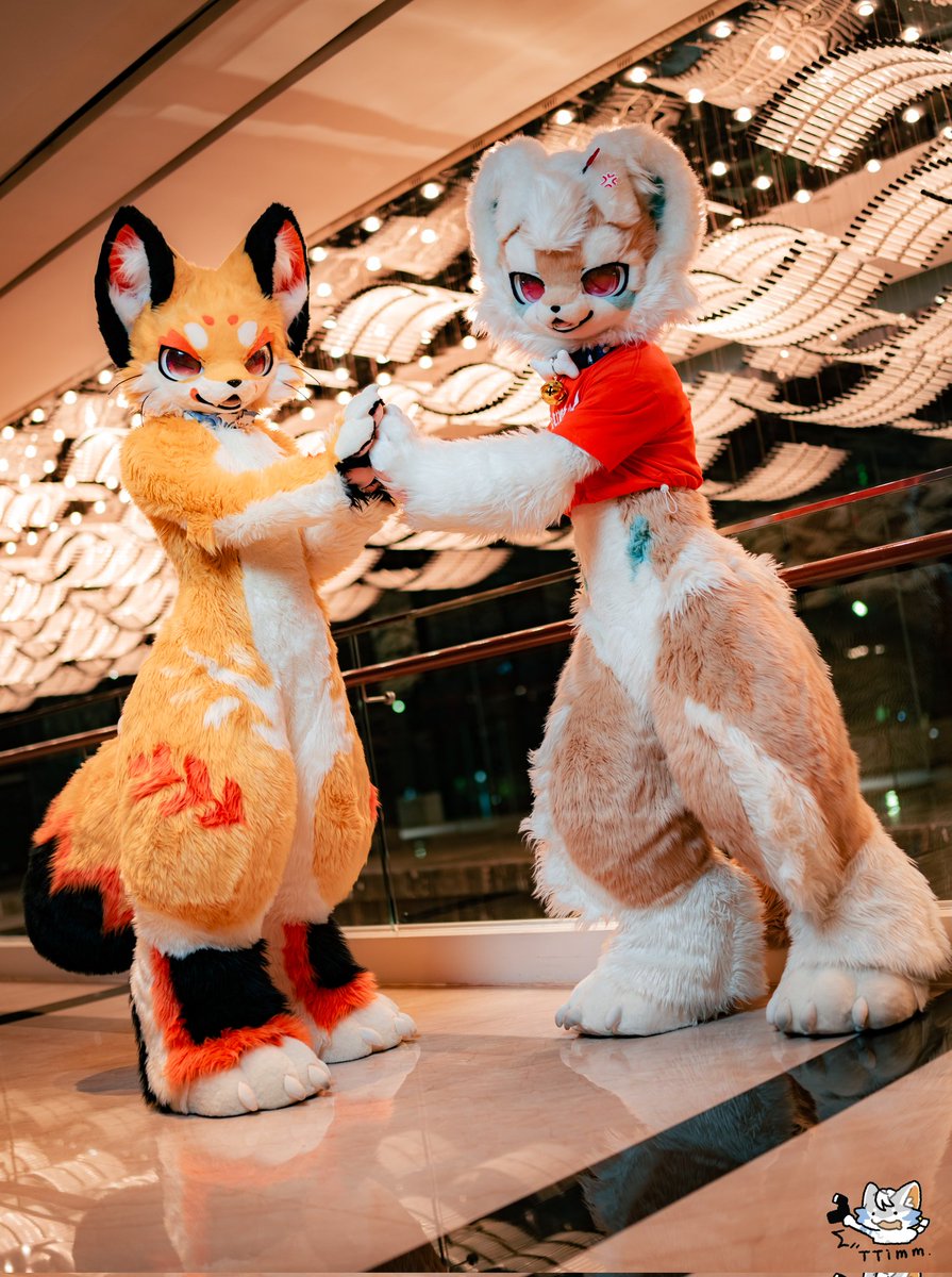GaoGaofurry's tweet image. Give me five🖐🏻
📷 @TTimm00445711
🦁 @YuLong_QWQ
#FursuitFriday #GaoGao #Furry