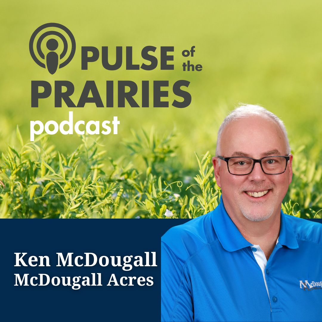 Our very own, Ken McDougall, spent some time with <a href="/SaskPulse/">Saskatchewan Pulse Growers</a>  to discuss the new pulse varieties of 2025. We would love for you to take a listen and let us know your thoughts! 🌱

Find the podcast here: bit.ly/3ZoepLl

#saskag #farming #agriculture  #mcdougallacres