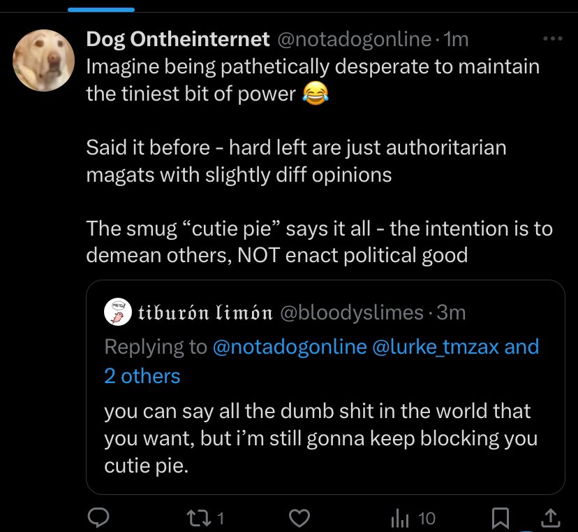 this tantrum is because i blocked this dude and then also blocked his side account that he immediately used to start replying again LOL 

i am oppressing him and taking away his free speech💔💔💔💔

p.s. “political good” in this context ?😭😭😭he insulted me the whole time 🤣