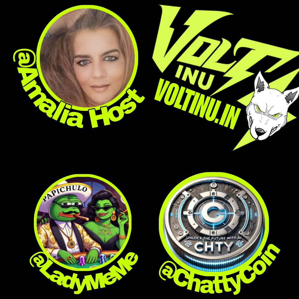 ⚡️🦍Amalia tweet media