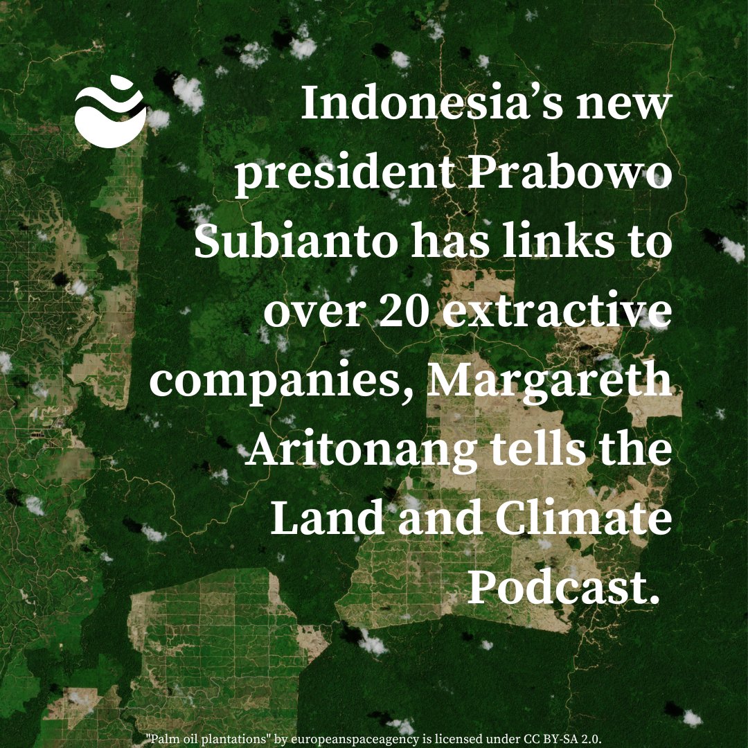 Land and Climate Review (@landclimate) on Twitter photo Margareth Aritonang from <a href="/geckoproj/">The Gecko Project (BlueSky: @thegeckoproject.org)</a> tells <a href="/Alimacewen/">Alasdair MacEwen</a> about Prabowo Subianto's links to “coal mining, timber plantations, fishing and palm oil," in our most recent episode of the Land and Climate Podcast.
Click to listen and to access the report.
landclimate.org/indonesia-busi… Margareth Aritonang from <a href="/geckoproj/">The Gecko Project (BlueSky: @thegeckoproject.org)</a> tells <a href="/Alimacewen/">Alasdair MacEwen</a> about Prabowo Subianto's links to “coal mining, timber plantations, fishing and palm oil," in our most recent episode of the Land and Climate Podcast.
Click to listen and to access the report.
landclimate.org/indonesia-busi…