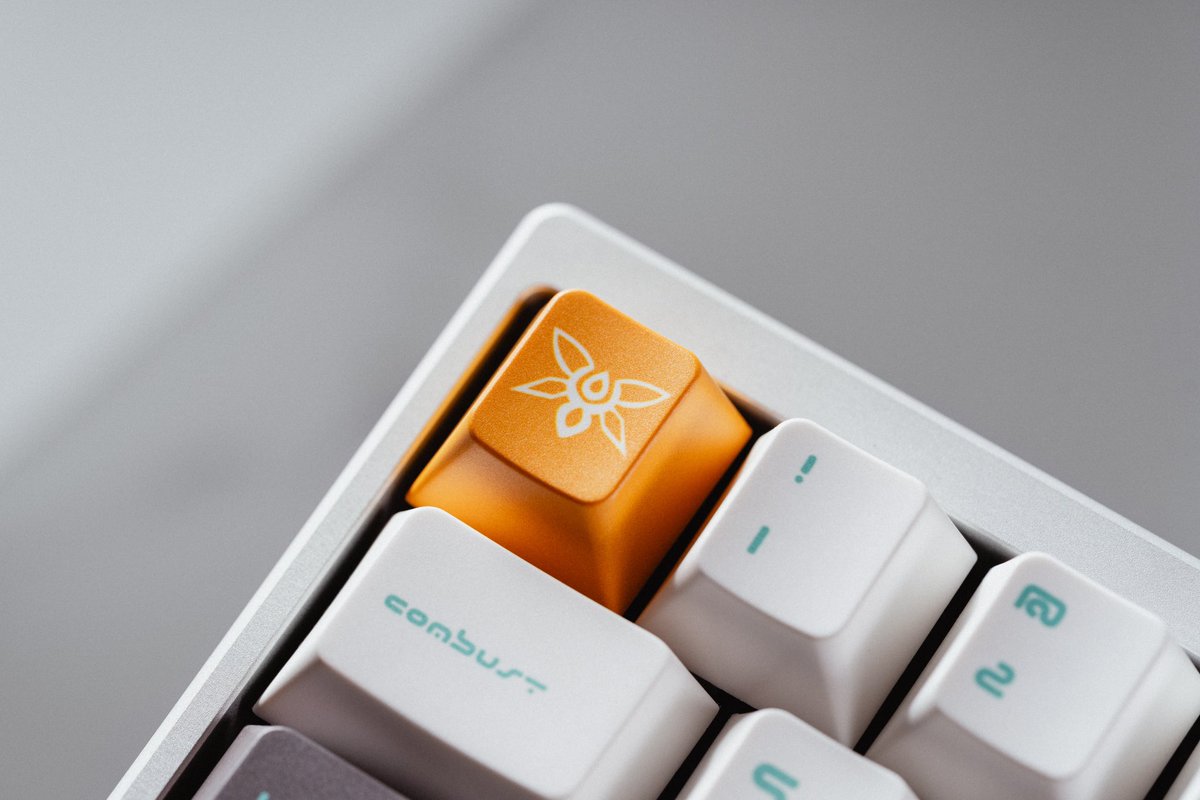 sterlingand_co's tweet photo. Any Firefly mains out there?👀🔥

These are made possible due to being able to make your own 1/1 keycap sets using the @YuzuKeycaps customization tool. If you want to make your own keycaps go check them out! 

#FireflyHSR https://t.co/D501DlQVjq