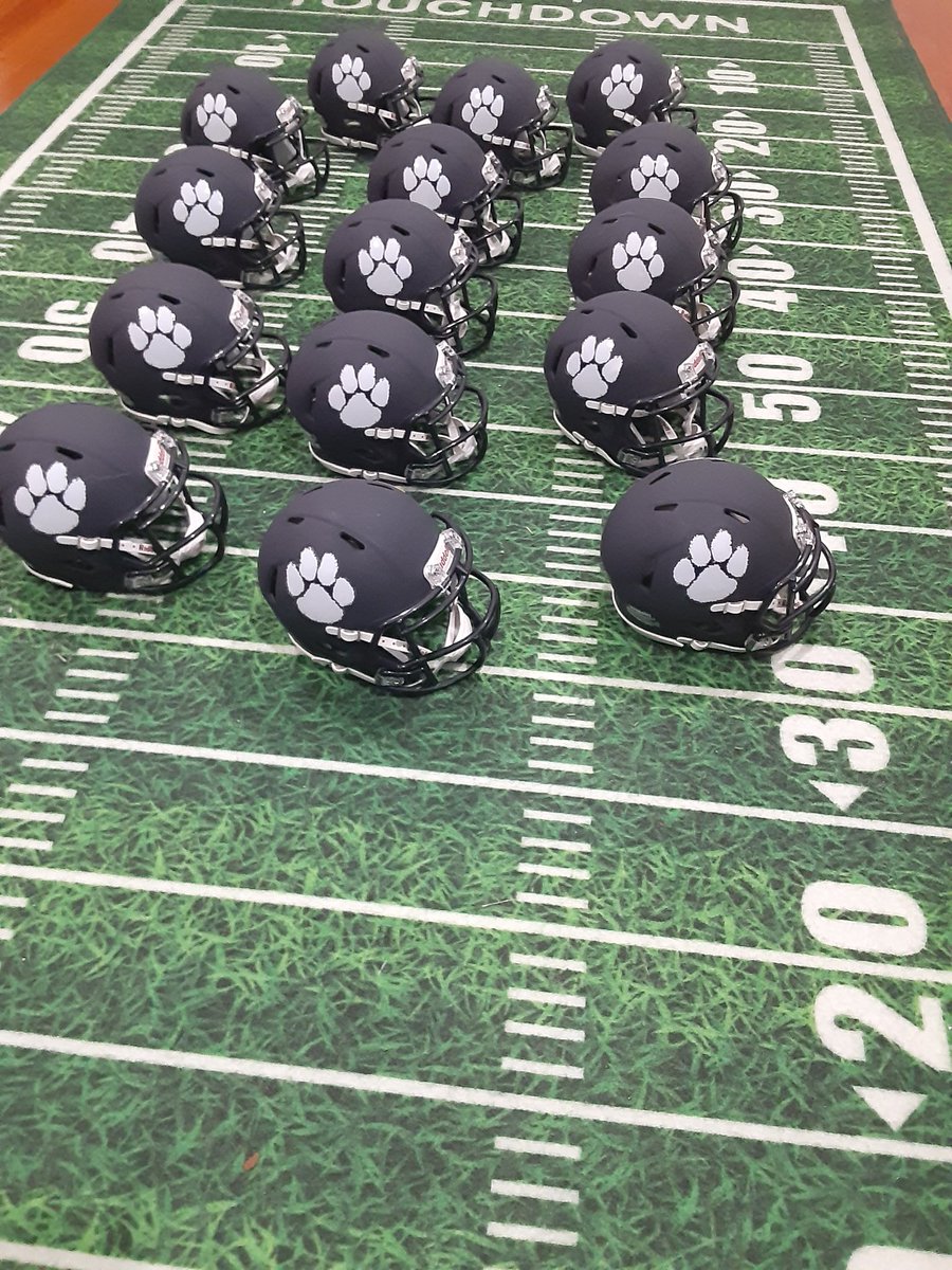 North Jersey Mini Helmets tweet media