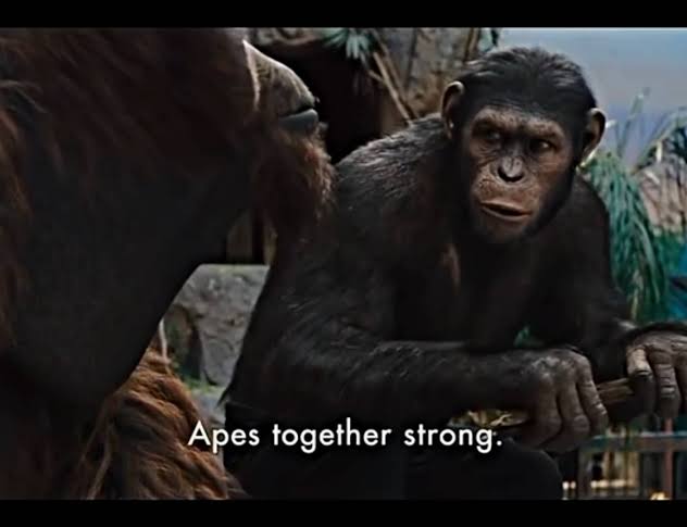 vkywick's tweet photo. @0xpeely Let me in @0xpeely ... Ape strong together ... https://t.co/AtlLXixLNY