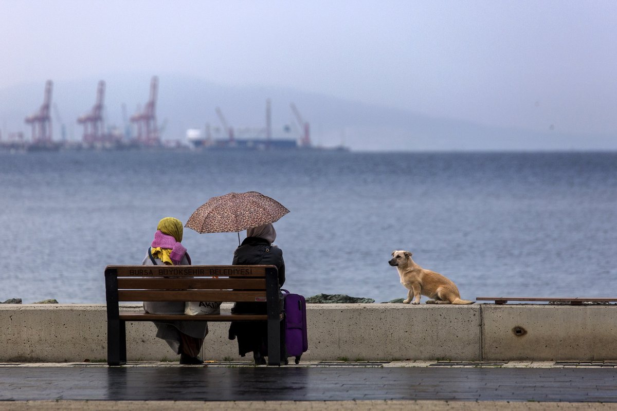 #ConcreteInLife2425 #ConcreteInDailyLife #turkey <a href="/theGCCA/">Global Cement and Concrete Association</a>