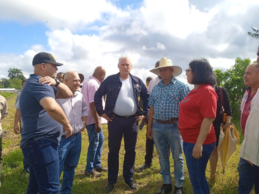 🇨🇺🌱 Junto al presidente <a href="/DiazCanelB/">Miguel Díaz-Canel Bermúdez</a> recorrimos hoy tierras de la UEB Parrarayo en el Valle del Yabú, donde productores y campesinos vinculan la ciencia al surco para mejorar los cultivos.

#JuntosPorVillaClara