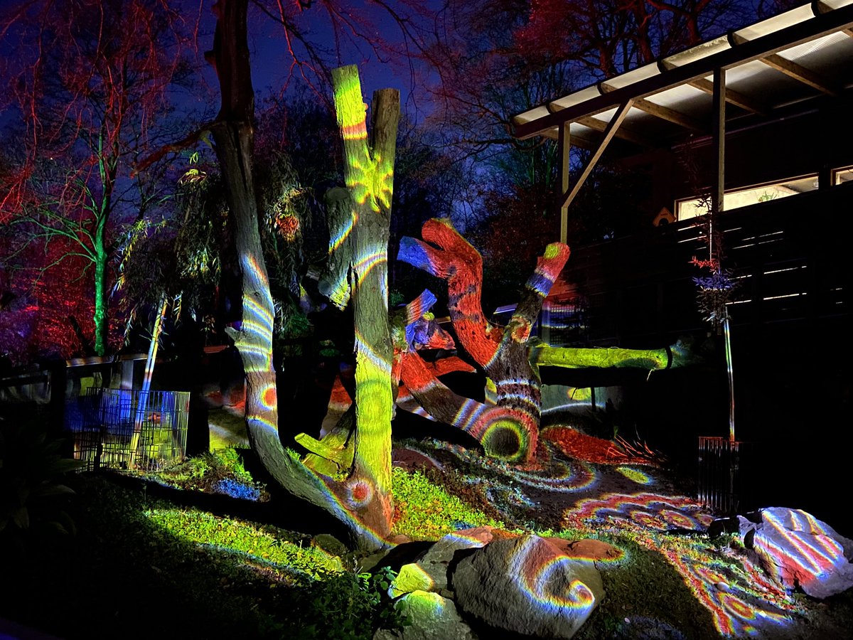 HaidaHakkinen's tweet photo. #zoolichter im #zooduisburg 😀
#ruhrpott #ruhrgebiet https://t.co/08vpYo57Sz