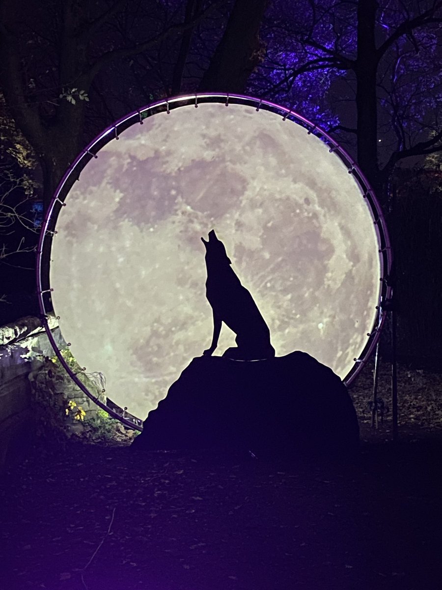 HaidaHakkinen's tweet photo. #zoolichter im #zooduisburg 😀
#ruhrpott #ruhrgebiet https://t.co/08vpYo57Sz