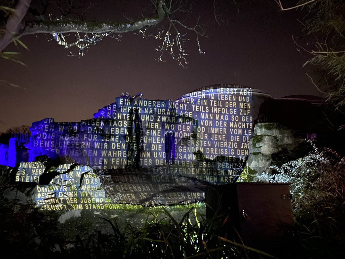HaidaHakkinen's tweet photo. #zoolichter im #zooduisburg 😀
#ruhrpott #ruhrgebiet https://t.co/08vpYo57Sz