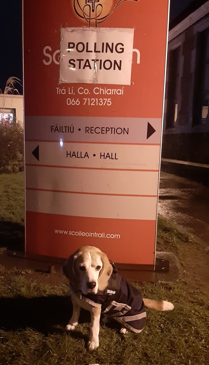 afmobrien's tweet image. Voting done 🗳 You can cast your ballot until 10pm, if you haven't already done so.
#Election2024 #GeneralElection24  #voting #vote #democracy #beagle #dogsatpollingstations  #Ireland #ElectionDay