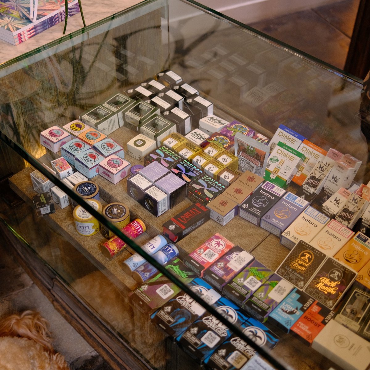 🦃 The turkey’s gone, but the good times are still here! 🌟 Join us today and keep the Thanksgiving vibes alive with us. 🌿✨ Let’s make this Friday one to remember! 🍂😊

Store: 9am-9:50pm
The Garden: 9:30am-10pm
- 
-
-
#TheWoods #Woody #SchoosDesign #ThomasSchoos #weho