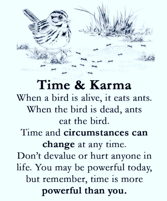 mindfulmaven_'s tweet photo. https://t.co/bo0RTqglKC