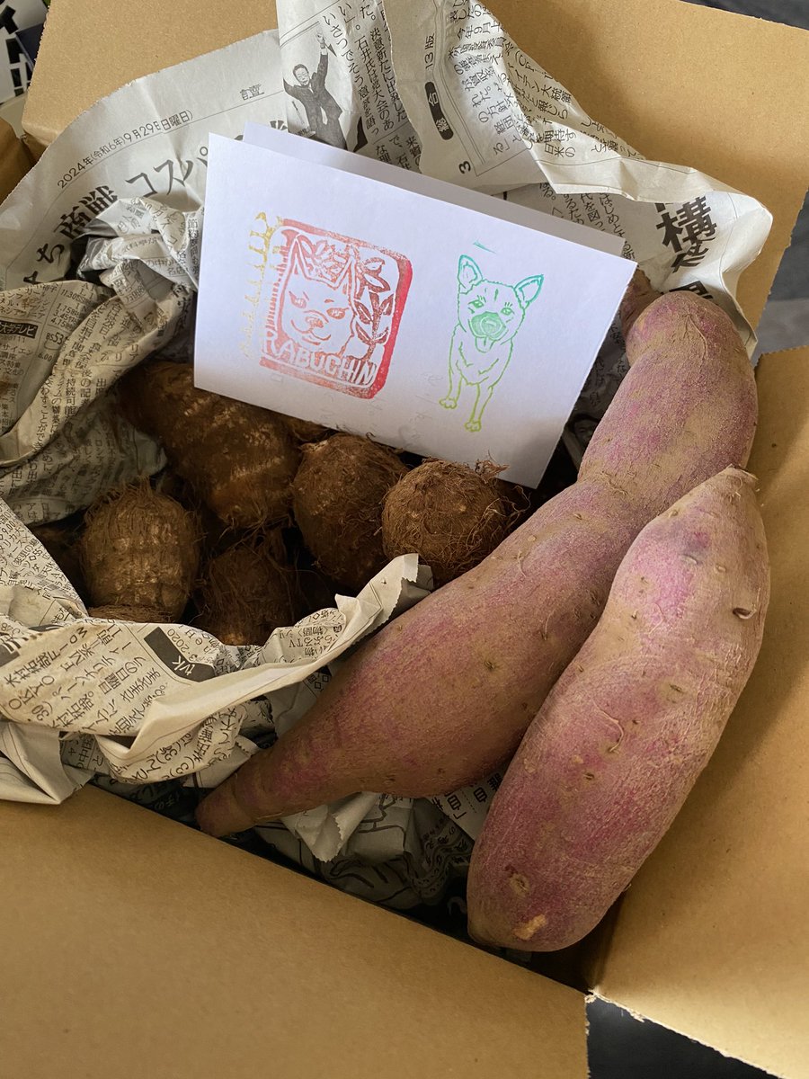 おはようございます🐶
最近話題になっていてずっと購入出来なかったララ子の芋を買えました！
先程届きました！
妻の喜ぶ顔も見れました！
丁寧な梱包とお手紙も嬉しいです！
これからも応援していこうと思います！

#ララ子　#海辺の犬。　#さつまいも　#里芋　#紅あずま