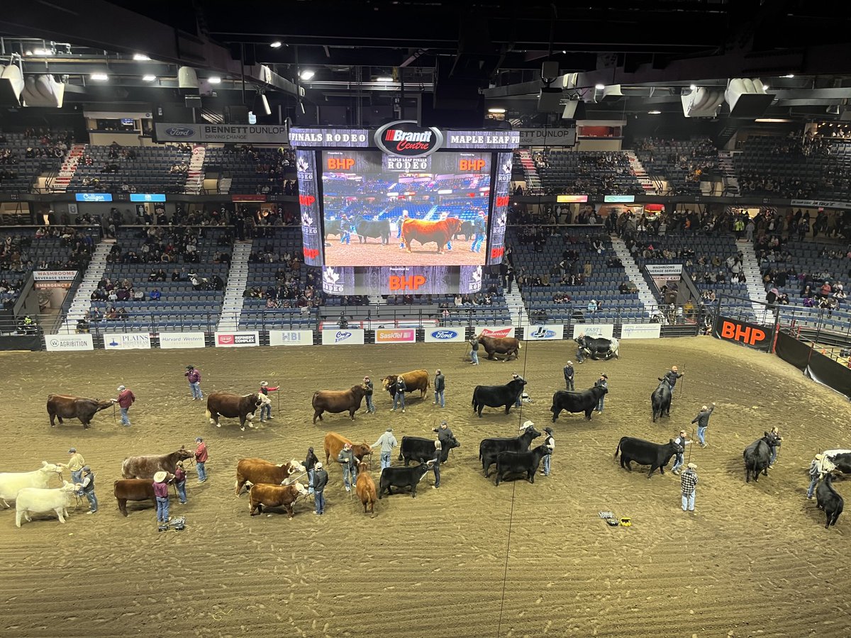 Awesome to see the parade of champions back at #cwa ⁦<a href="/Agribition/">Canadian Western Agribition</a>⁩