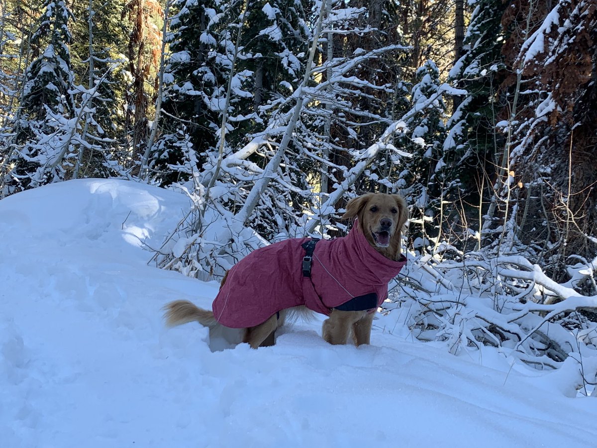 Snow Trail today @ Incline Flume Trail