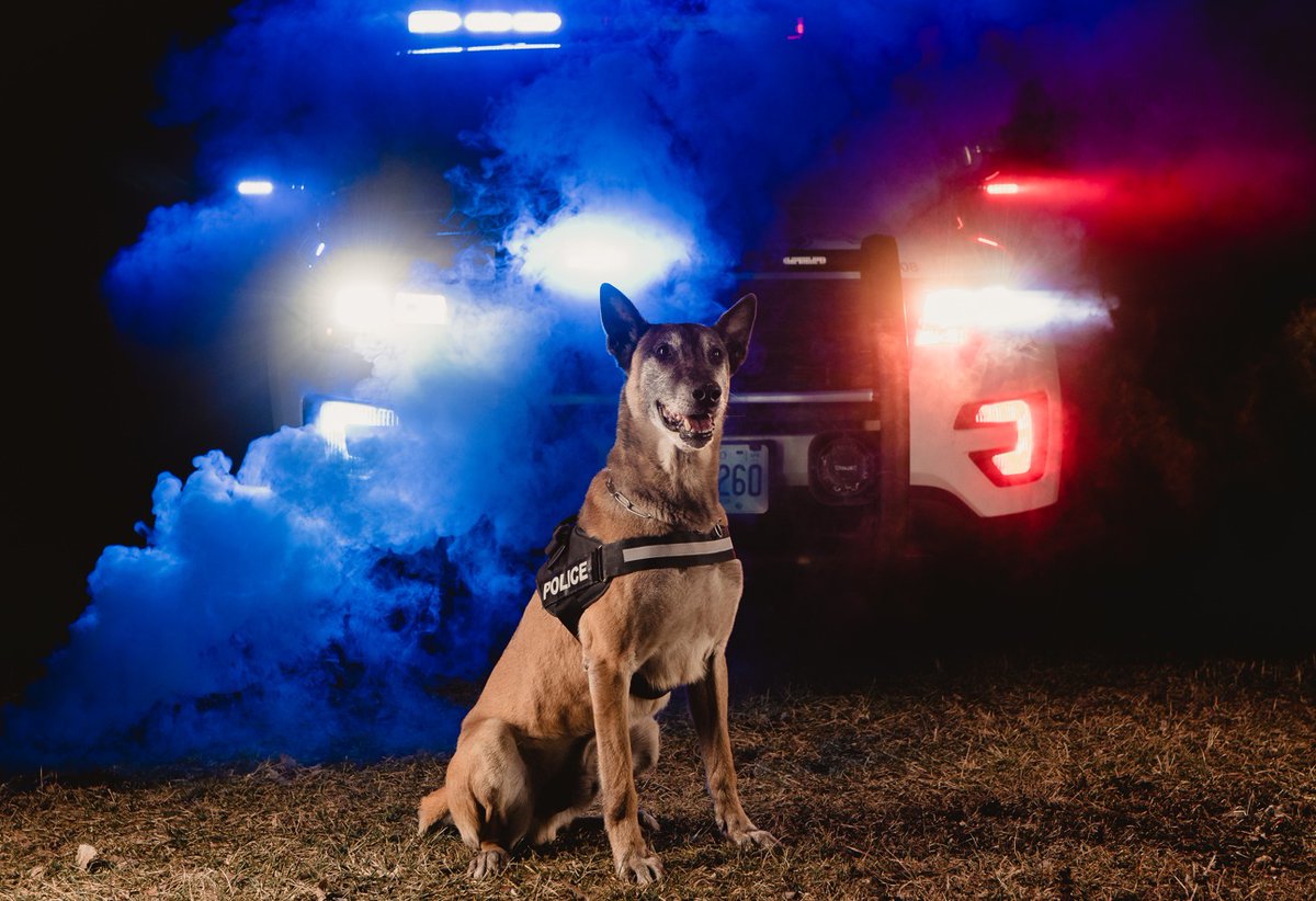 Windsor Police tweet media