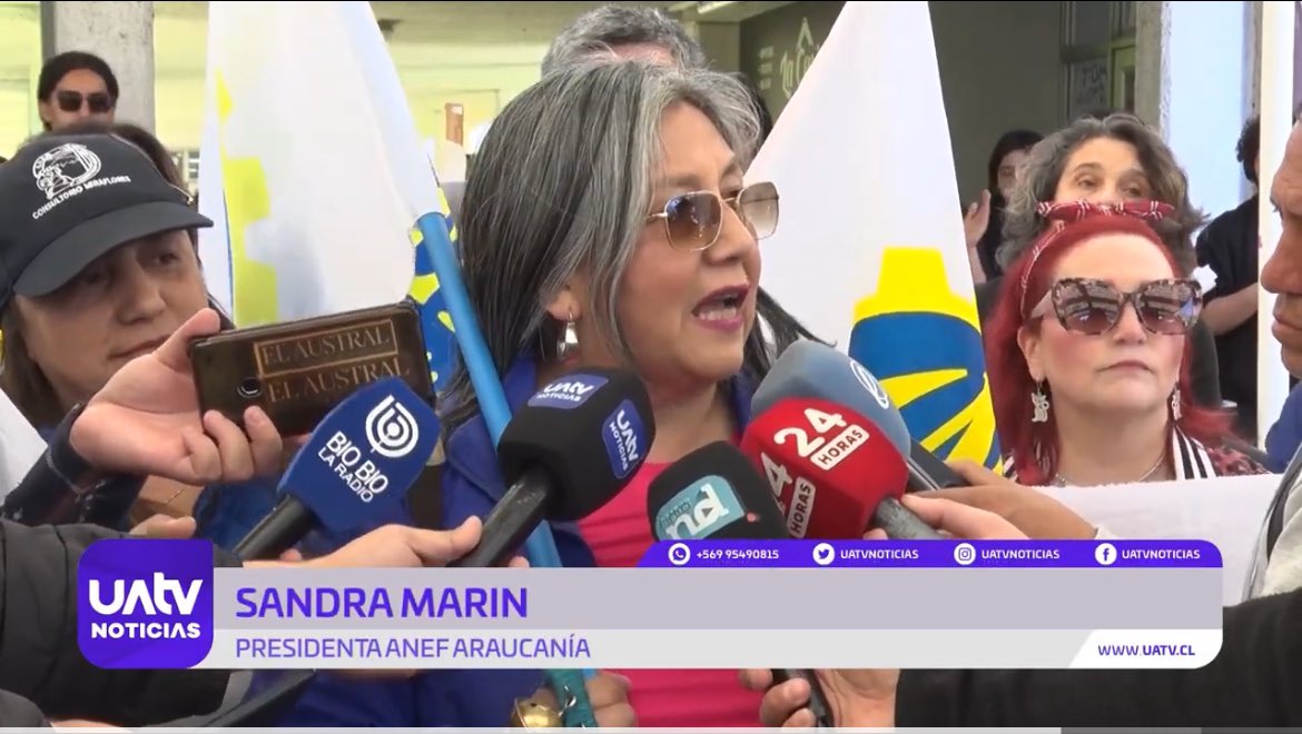 ANEF ARAUCANIA tweet media