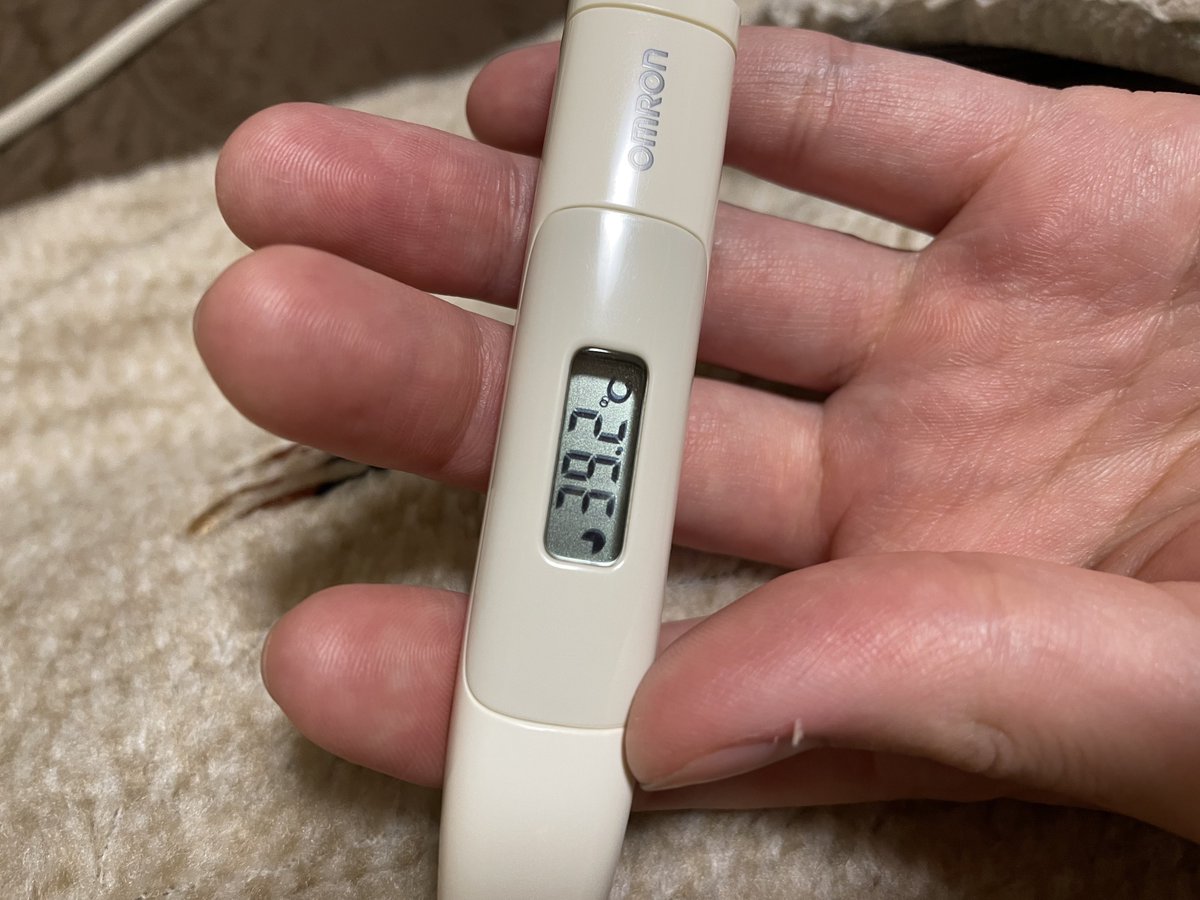 1年半くらいぶりに高熱出してもーた、
ヤベぇ🤦‍♂️