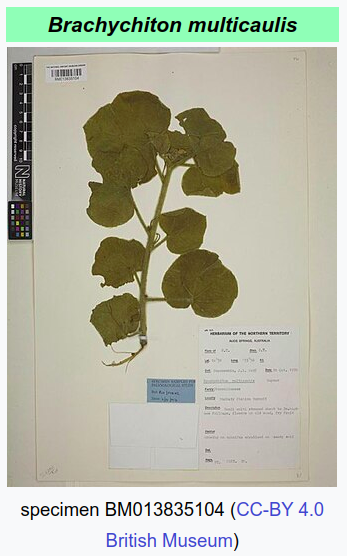 Margaret tweet media