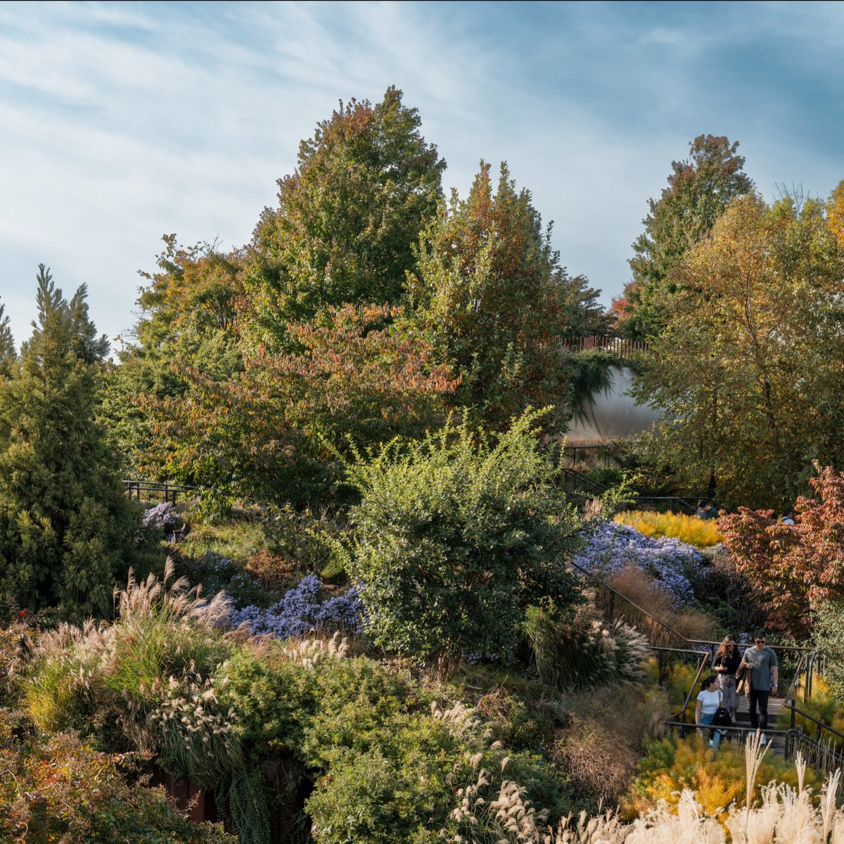 littleislandnyc's tweet photo. What’s your favorite spot to enjoy the season at Little Island? 🍂 The park is dressed in rich autumn colors, making it a perfect time to explore. 

📸: Michael Grimm https://t.co/XfA4qHKmLb
