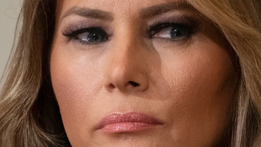 I’m still wondering how the hell Melania Trump qualified for an Einstein Visa based on a college degree she lied about earning.