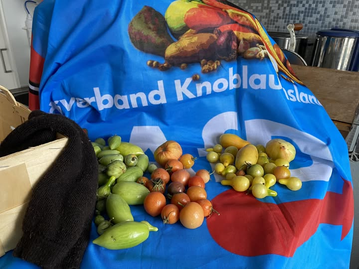 Yal01095746's tweet photo. Stillleben  #AmpelAus
Nach dem #TrumpVictory und #Thanksgiving2024 - die letzte Ernte. 
Die #Grünen kommen in die braune Wollsocke zum Rotwerden.

#AfD Ortverband #Knoblauchsland - alles bio 😀 https://t.co/oEnLDbSnpr