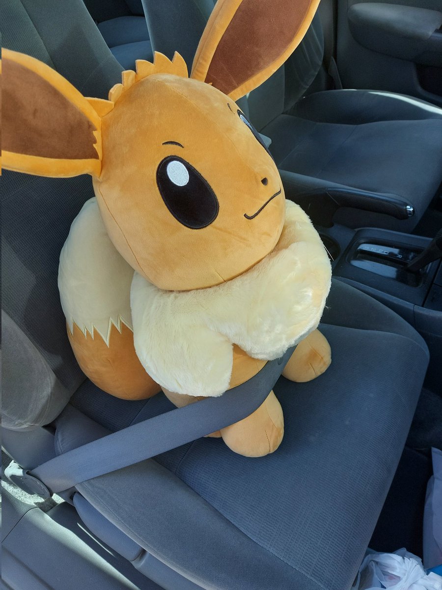 Just got a new member in the family......