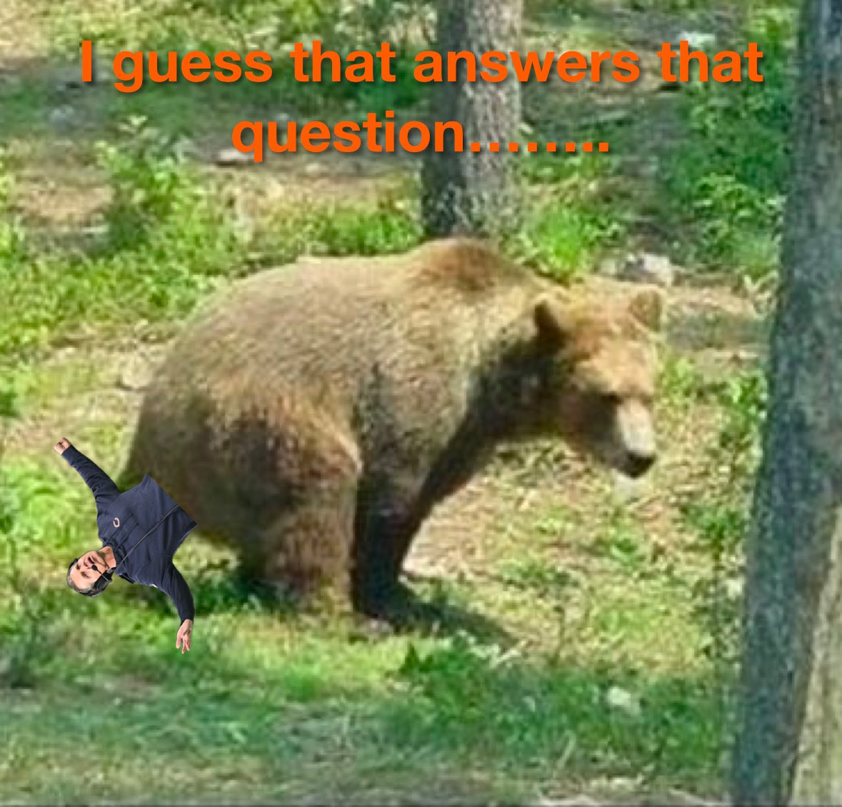 Major League Tailgating tweet media